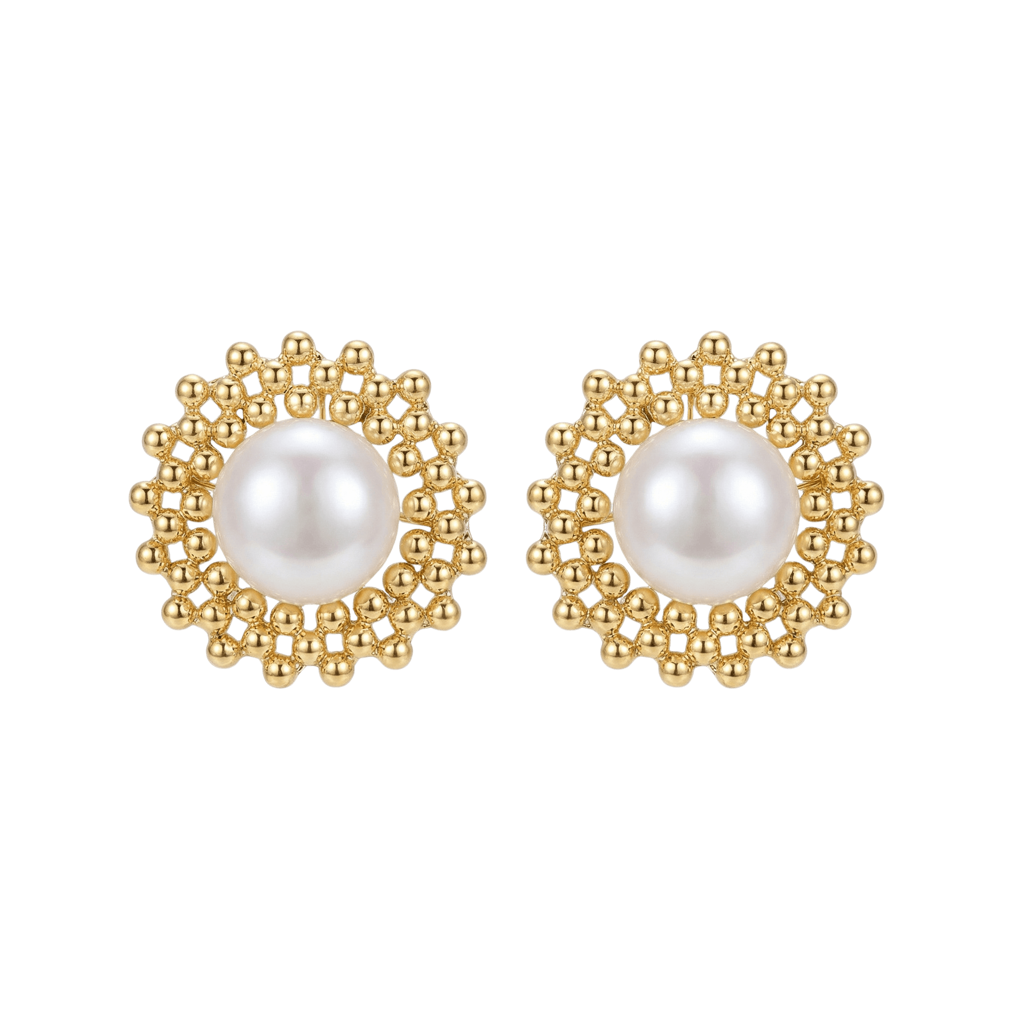 14K Filled Gold White Freshwater Pearl Stud Earrings